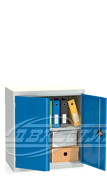Шкаф архивный ШХА/2-850(50).  �4